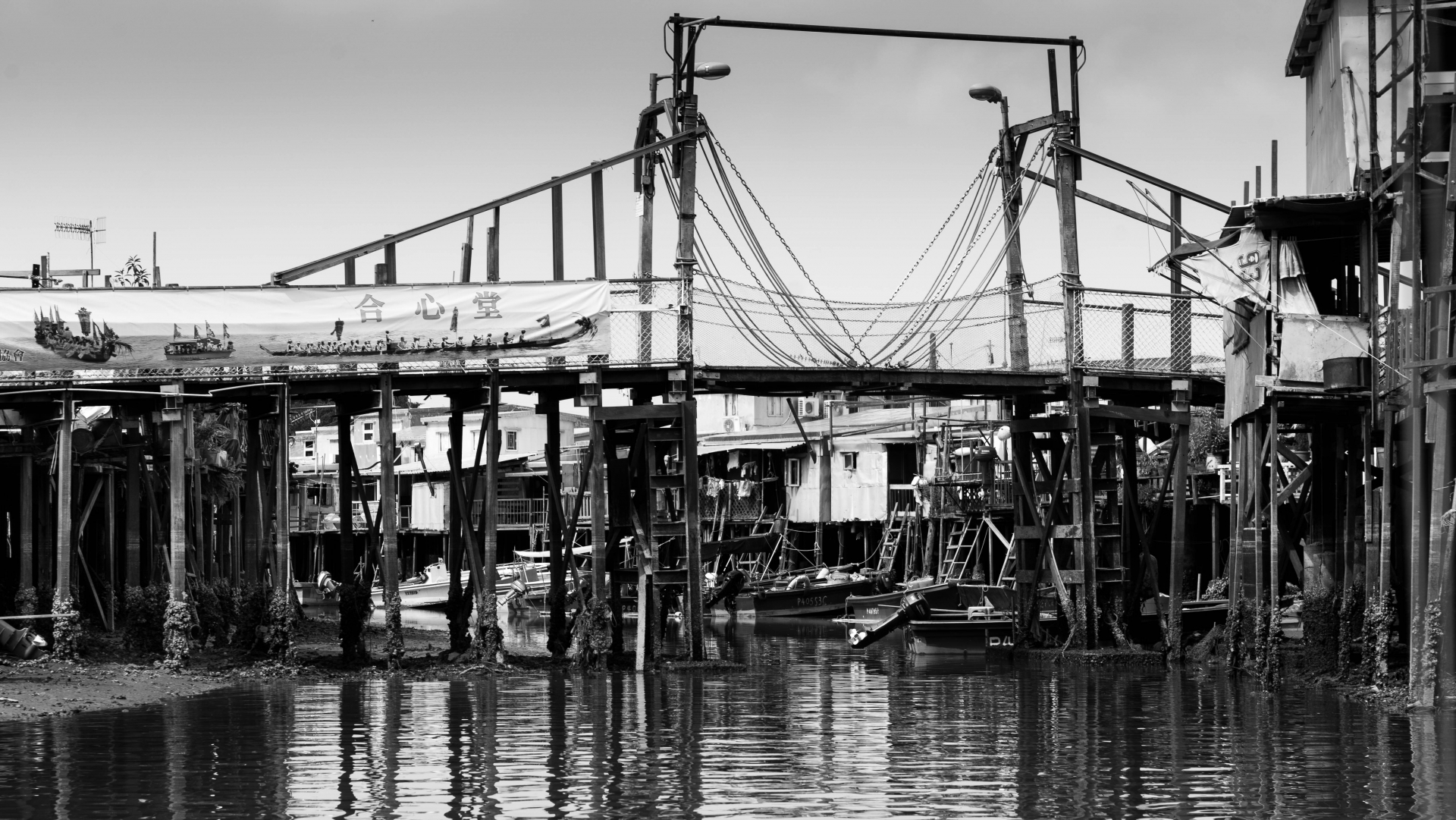 008 Tai-O Footbridge,Steve Reeves