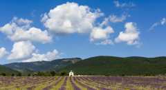 Summer in Provence