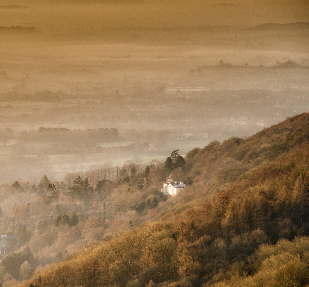 016 House On A Hillside,Peter Richardson