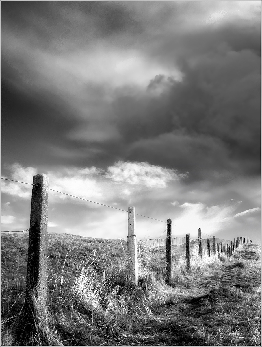 031 Fence,Ken Hurst-Earl